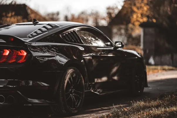 스피나고 카지노 안드로이드/iOS 앱